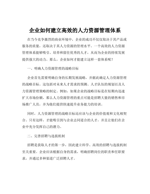 企业如何建立高效的人力资源管理体系