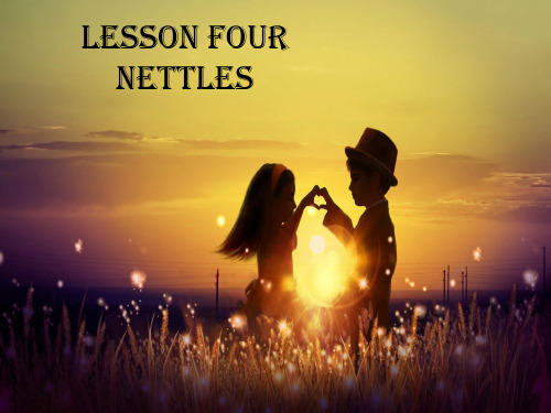 Lesson 4 Nettles