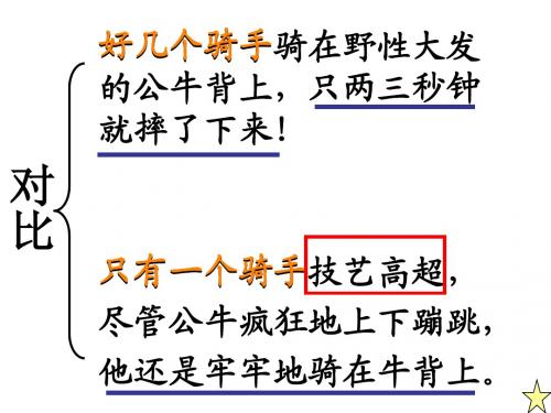 骑牛比赛苏教版一年级下册课件3