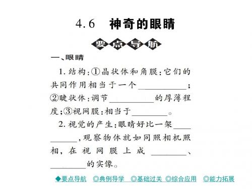 教科版八年级物理上册课件：4.6 神奇的眼睛 (共17张PPT)