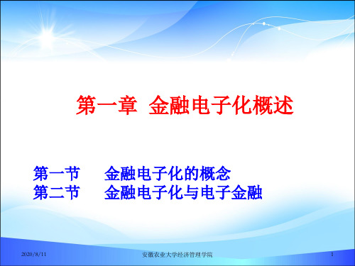 金融电子化与电子金融(ppt 29页)