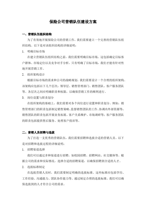 保险公司营销队伍建设方案