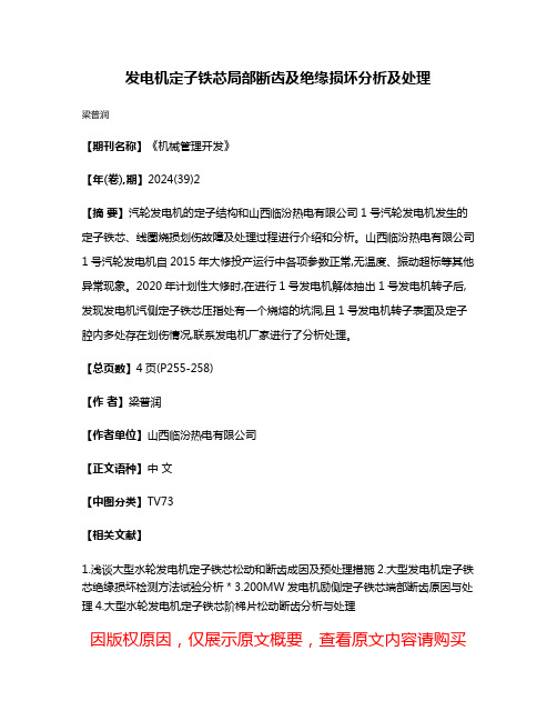 发电机定子铁芯局部断齿及绝缘损坏分析及处理