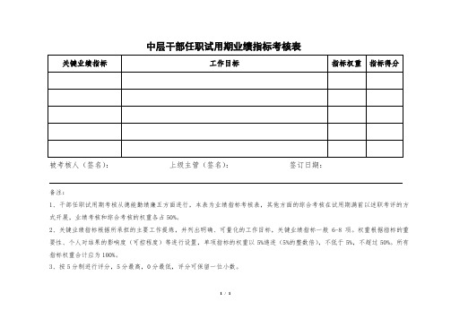 中层干部任职试用期业绩指标考核表-经典原创文档