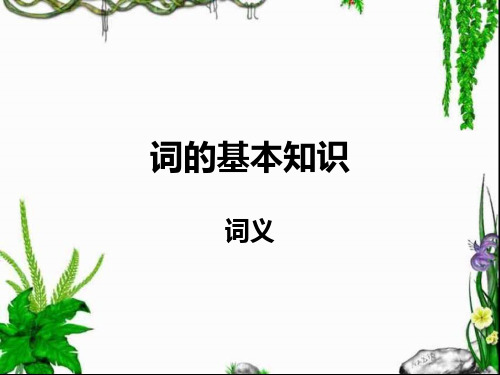 (完整版)词的基本知识——词义