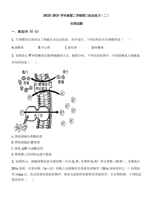 2023-2024学年度第二学期高三综合练习(二)生物试题