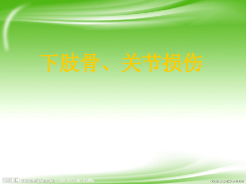 外科教学课件:22-下肢骨、关节损伤