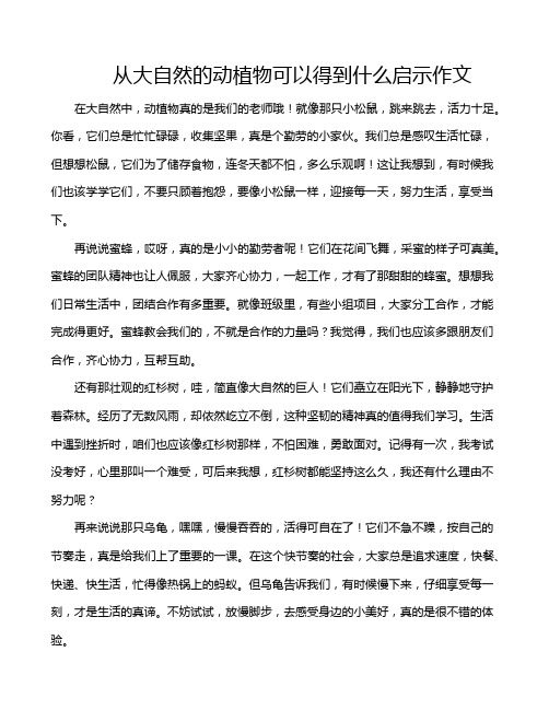 从大自然的动植物可以得到什么启示作文