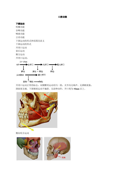 口腔解剖生理学讲义 jpslx_jy0401