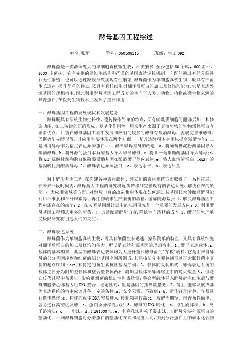 酵母基因工程综述试卷教案