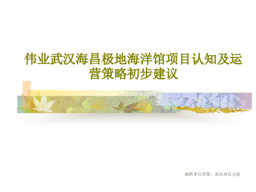 伟业武汉海昌极地海洋馆项目认知及运营策略初步建议PPT文档共137页