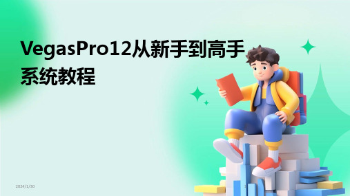 VegasPro12从新手到高手系统教程(2024)