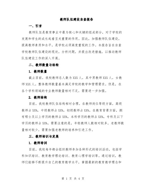 教师队伍建设自查报告