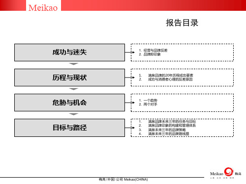 漓泉啤酒-品牌战略发展规划-26页文档资料