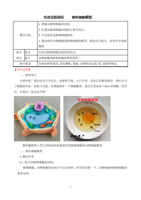 综合实践项目制作细胞模型