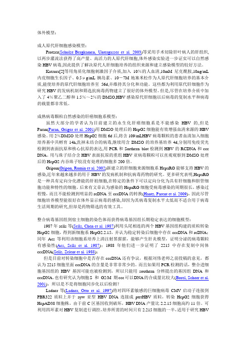 HBV转染细胞和动物模型