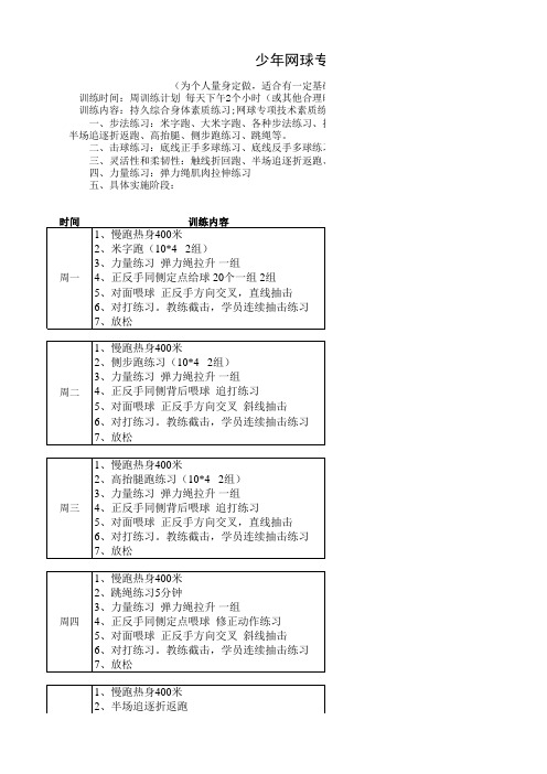 少年专业网球训练周计划(含技术和体能)