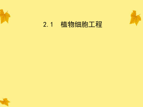 2010年湖北黄冈中考语文预测试题(