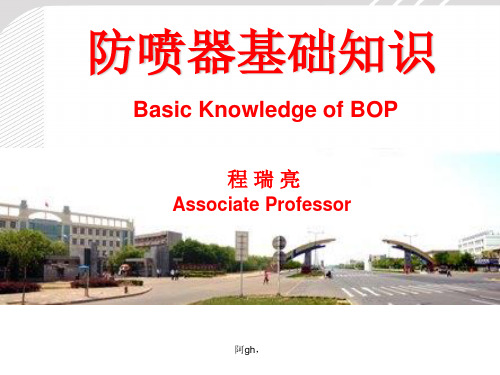 防喷器基础知识.ppt