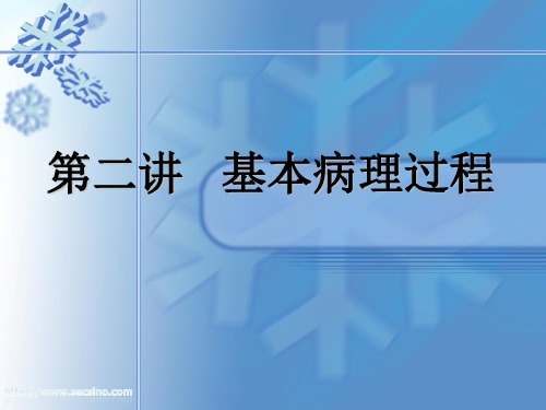 兽医学 病理学部分 第二讲