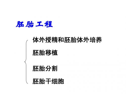 第二节 胚胎工程的实验技术2(北师大)