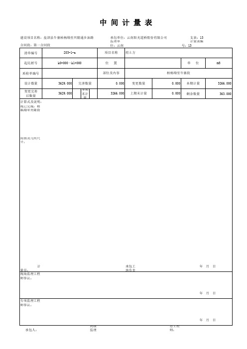 中间计量表1