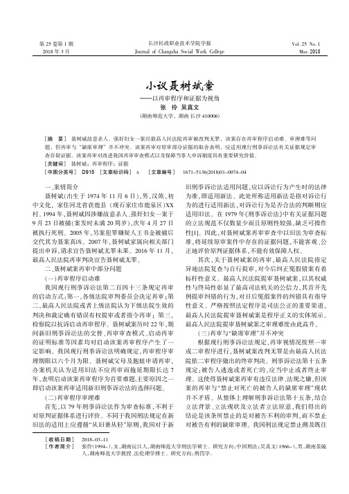 小议聂树斌案——以再审程序和证据为视角