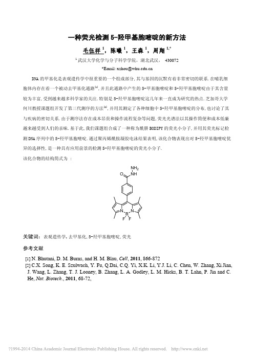 一种荧光检测5_羟甲基胞嘧啶的新方法_毛伍祥