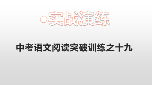 中考语文阅读突破训练之十九《一粒新西兰糖果》