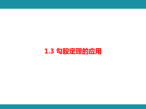 1.3 勾股定理的应用 课件 2024-2025学年北师大版数学八年级上册