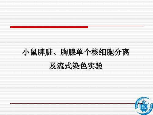 医学免疫学实验四 小鼠脾脏、胸腺单个核细胞分离及流式染色实验