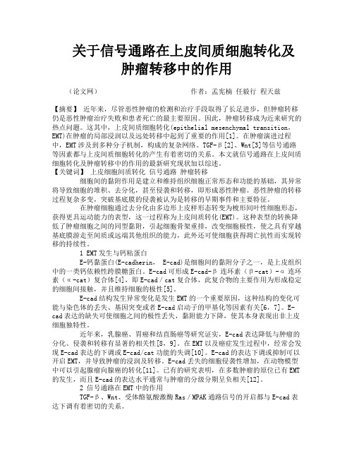 关于信号通路在上皮间质细胞转化及肿瘤转移中的作用