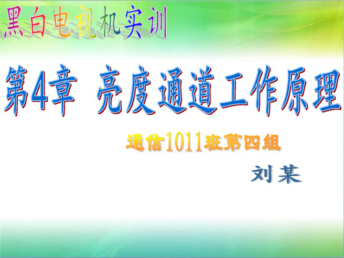黑白电视机实训亮度通道原理