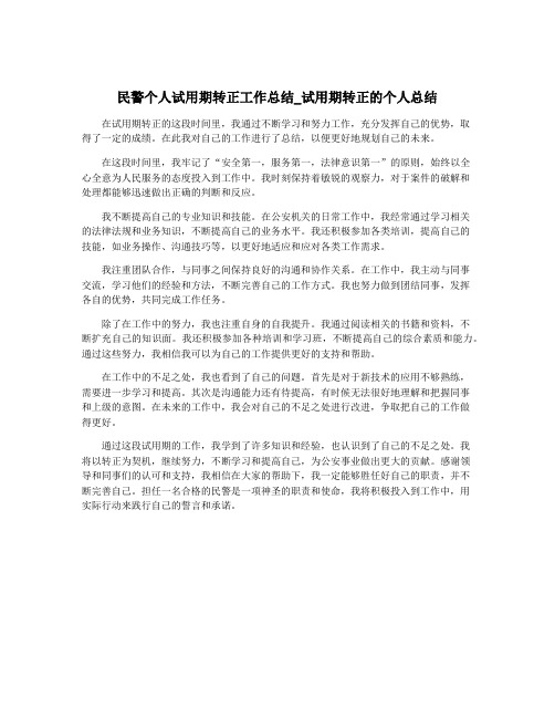 民警个人试用期转正工作总结_试用期转正的个人总结