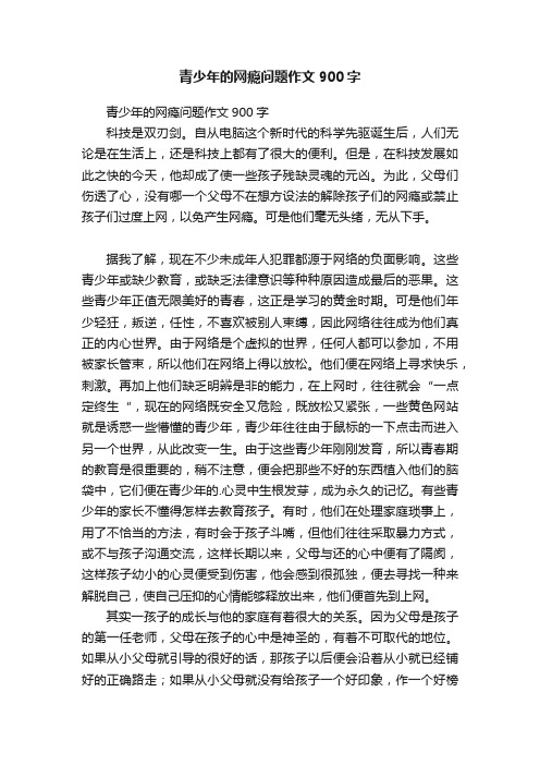 青少年的网瘾问题作文900字