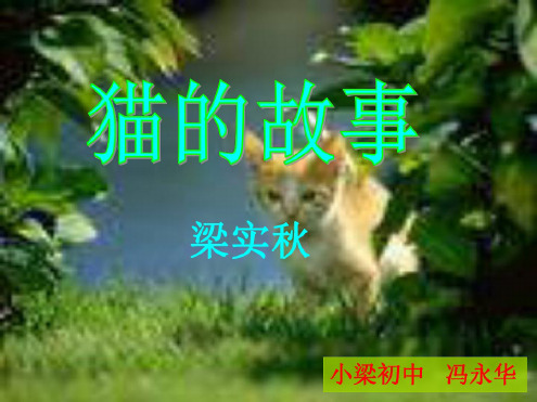 七年级语文猫的故事1
