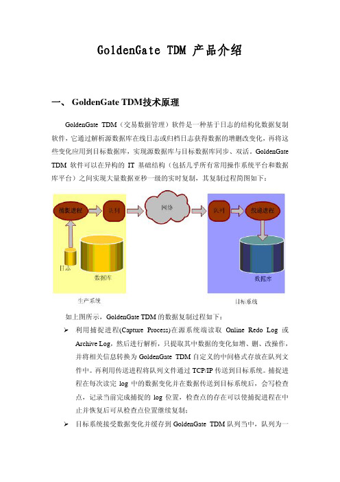 GoldenGate TDM产品介绍和案例