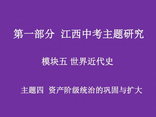 江西中考历史复习：资产阶级统治的巩固与扩大PPT优秀课件 人教版