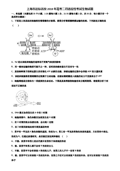 上海市达标名校2018年高考二月适应性考试生物试题含解析