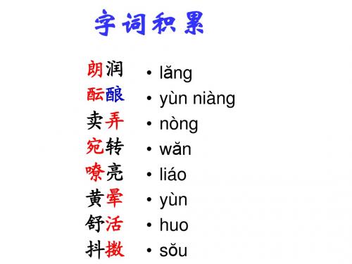 七上第三单元复习