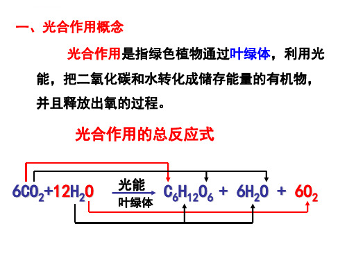 光合作用的过程ppt课件