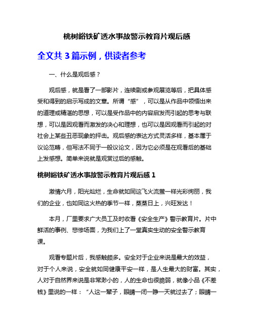 桃树峪铁矿透水事故警示教育片观后感