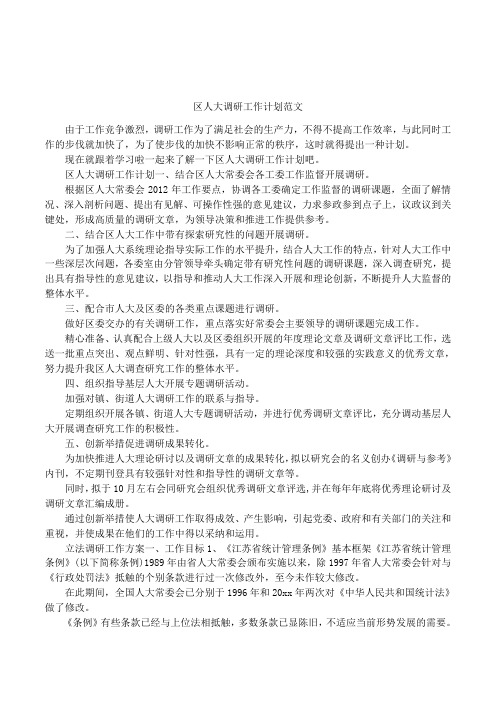 区人大调研工作计划范文