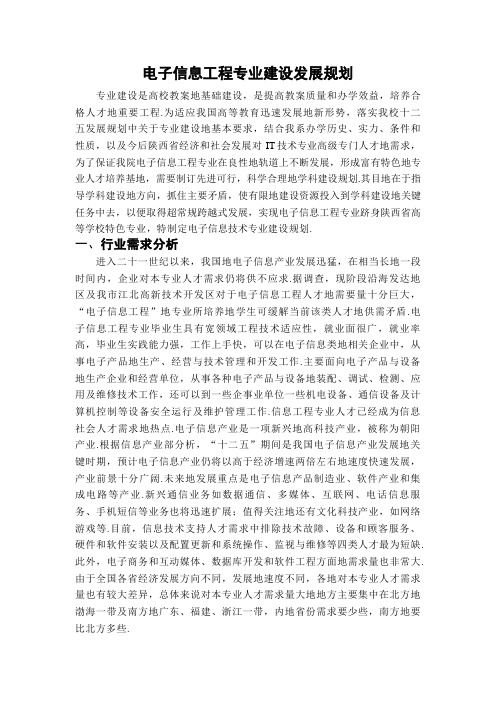 电子信息工程专业建设发展规划