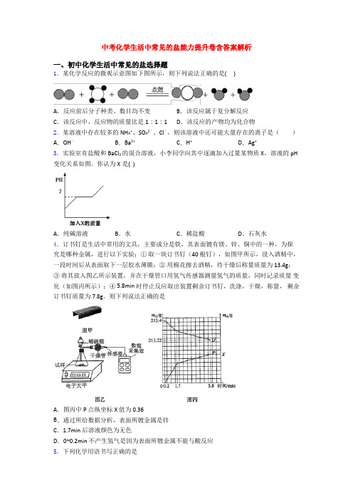 中考化学生活中常见的盐能力提升卷含答案解析