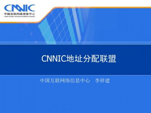 CNNIC地址分配联盟