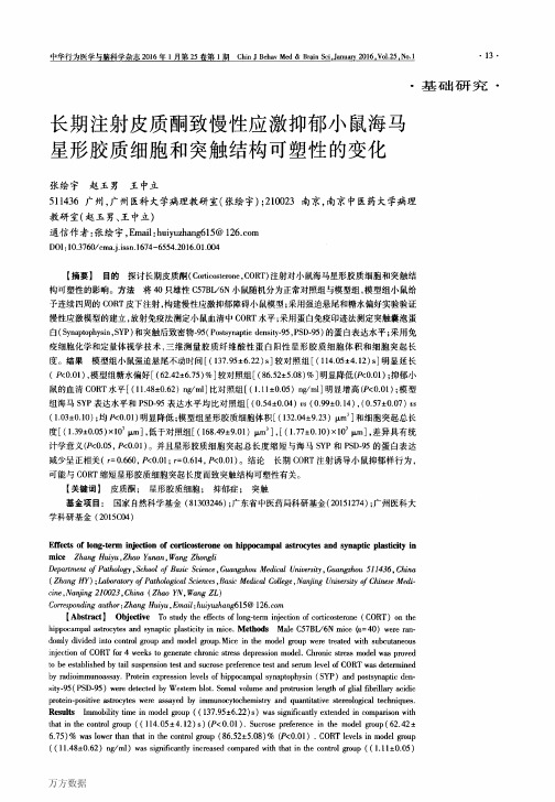 长期注射皮质酮致慢性应激抑郁小鼠海马星形胶质细胞和突触结构可塑性的变化要点