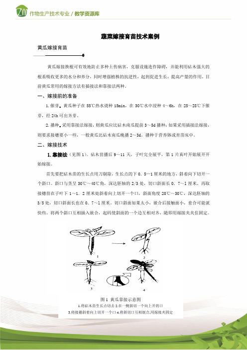 设施蔬菜生产蔬菜嫁接育苗案例1概要