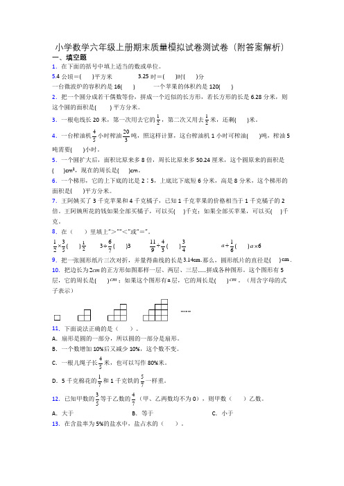 小学数学六年级上册期末质量模拟试卷测试卷(附答案解析)