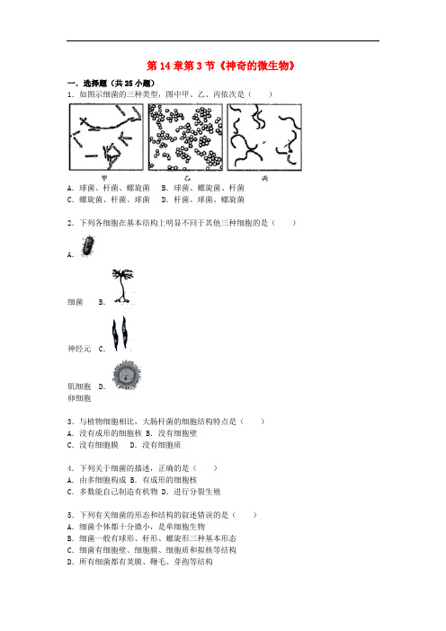 八年级生物上册 第14章 第3节 神奇的微生物同步测试(含解析) 苏教版